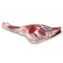 PALETILLA DE CORDERO