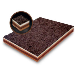 PLANCHAS SABORES CASTY