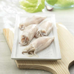 CHIPIRON LIMPIO CP KG.