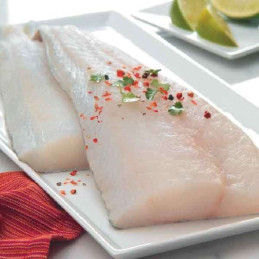 FILETE BACALAO GRANDE 1ª CONG