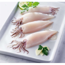 CHIPIRON LIMPIO PACK 