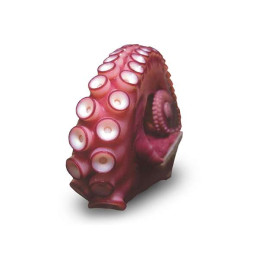 PULPO T-4 (1,5 - 2Kg)...