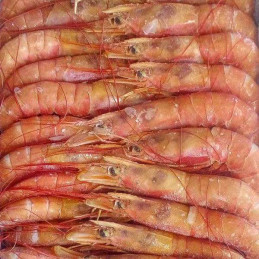LANGOSTINO N.2